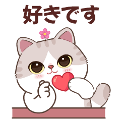 Ang Pao Cat : Valentine's Day V. Japan