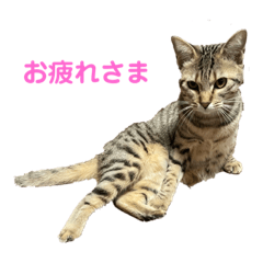 ruru_20230206162226