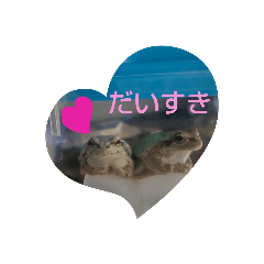 omochi_20230206175832