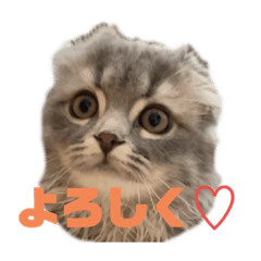 Yun_20230206182647