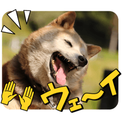 YUUKO_20230206193916