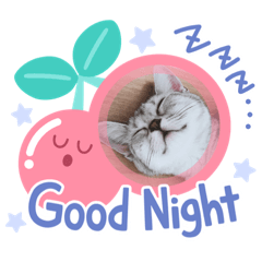 hikari_20230206201525