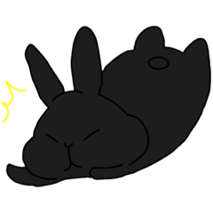 black rabbit bosukunn