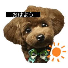 mizuki_20230206203945