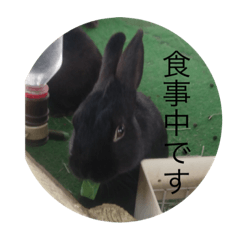 Yuto_20230207035553