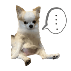 harchan_20230206212757