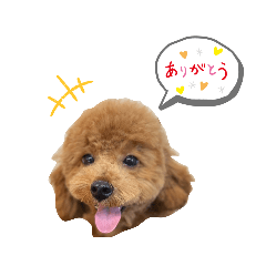 puku_20230207132458