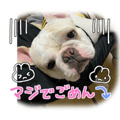 tono_20230206213912