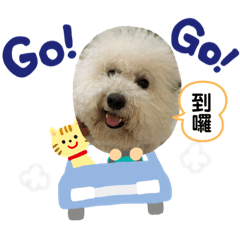 黃比比寶貝