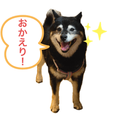 Kichi_20230206232329