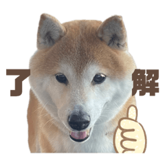 yun_20230207114307