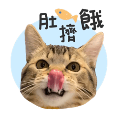 姆米家族黑嚕嚕