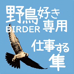 For Birder Wild Birds Sticker 02bizfalco