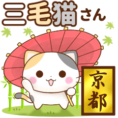 Hannari Kyoto's calico cat
