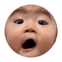 kumachan baby