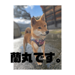 natsumi_20230207172154