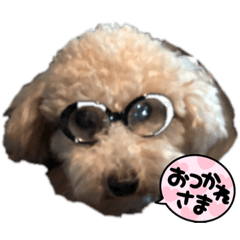 koharu's stamp_