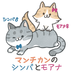 マンチカンのシンバとモアナ