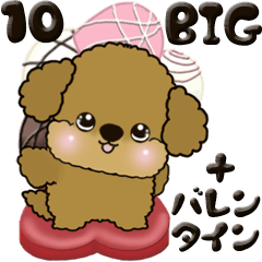 (BIG) Poodle 10 (+valentine's day)