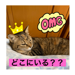hana_20230207201005