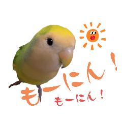 Bird  the  Namu 2