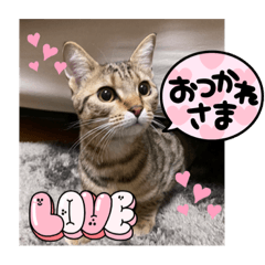 ruru_20230207234936