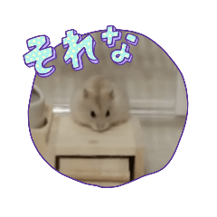 omochi_20230207220725