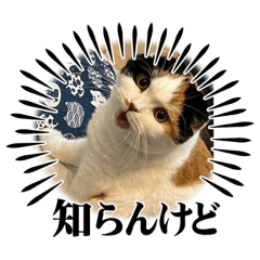 mizuki_20230207224917