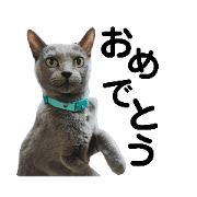neko_20230207231338