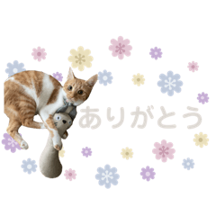 yuka_20230208083019
