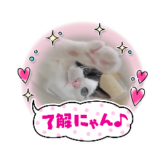 alice_20230207222248