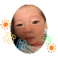 yayoi_20230208004410