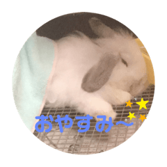 miffy_20230208010723