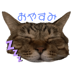 natsumi_20230208114803