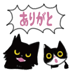 cheerful cat & cat