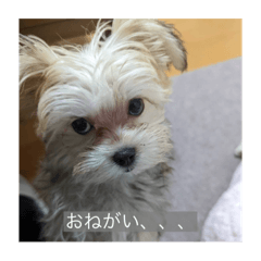airi_20230208184629