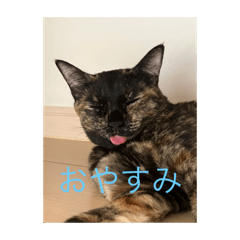 abcdefg_20230208180817