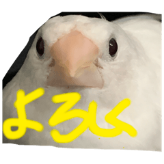 omochi_20230208182158