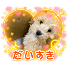 omochi_20230208195905