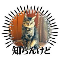 我が家の3匹スタンプ