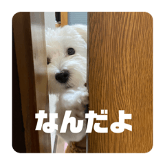 Muku's daily life