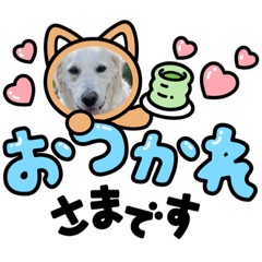 hana hana hanako