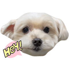 yuka_20230209141528
