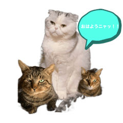 Arito Miura_20230209135703