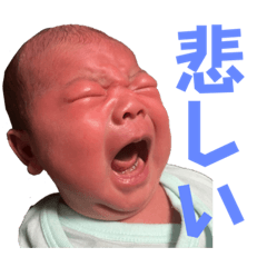 shiho_20230209170807