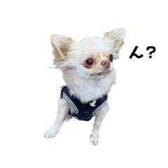 mizuki_20230209171832