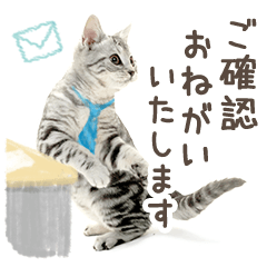 Working cat Sticker -American Shorthair-