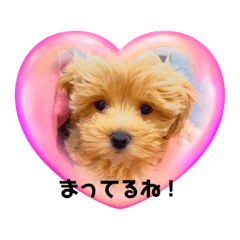 omochi_2023020920232