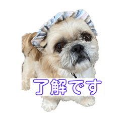 MIZUKI_20230210102039