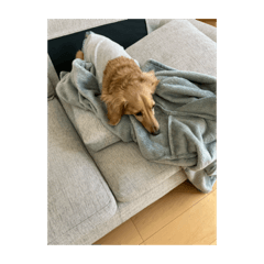 kosuke_20230209215859